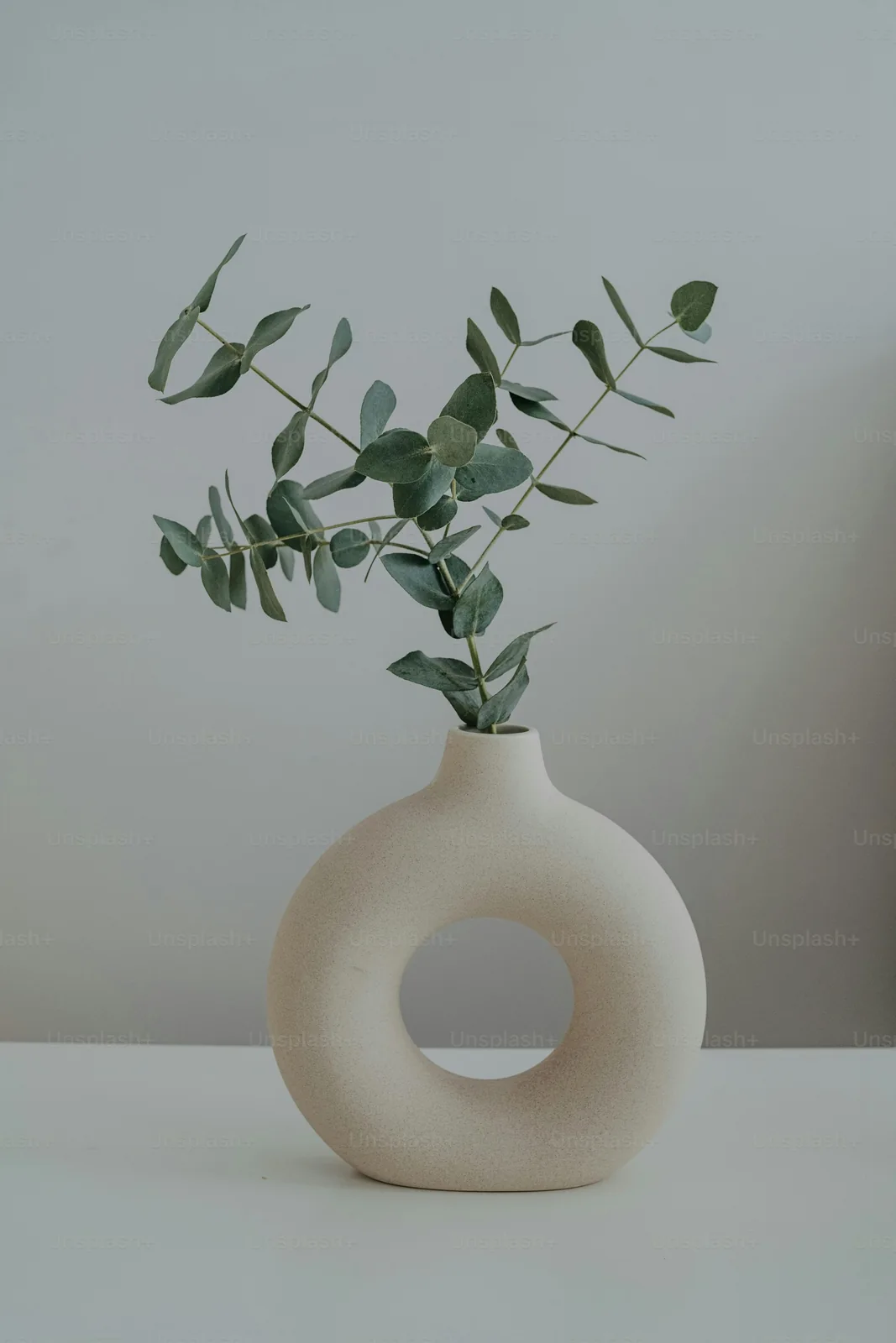 Photographed ceramic vase