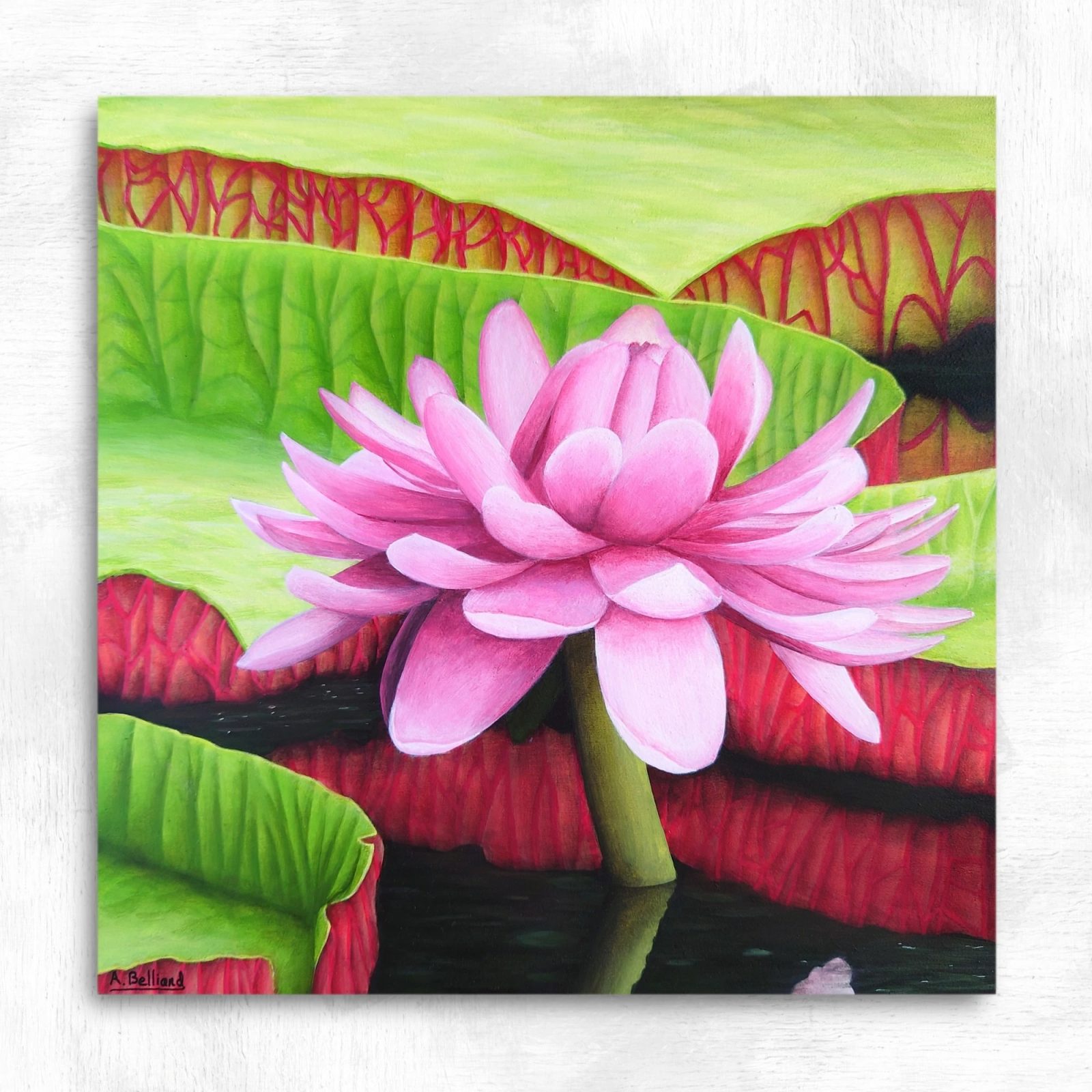 Tableau nénuphars tropicaux - peinture nature exotique "Victoria amazonica"