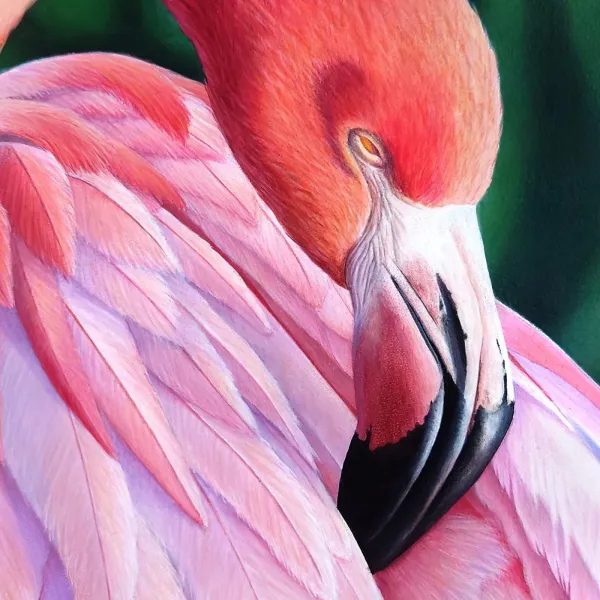 Tableau flamant rose tropical - peinture oiseau exotique "Instant flamboyant" – vue 6