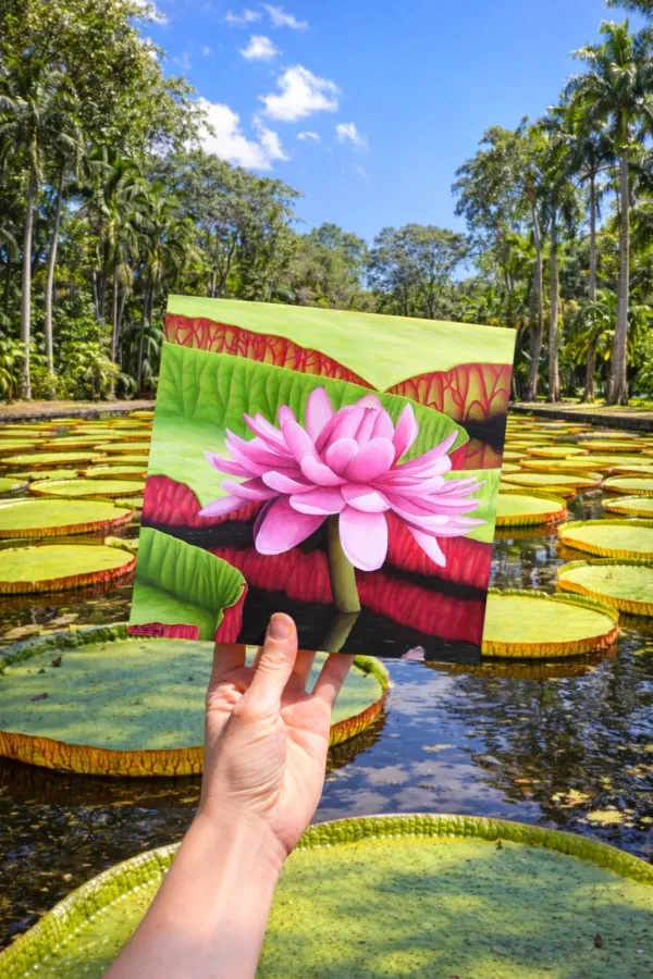 Tableau nénuphars tropicaux - peinture nature exotique "Victoria amazonica" – vue 3