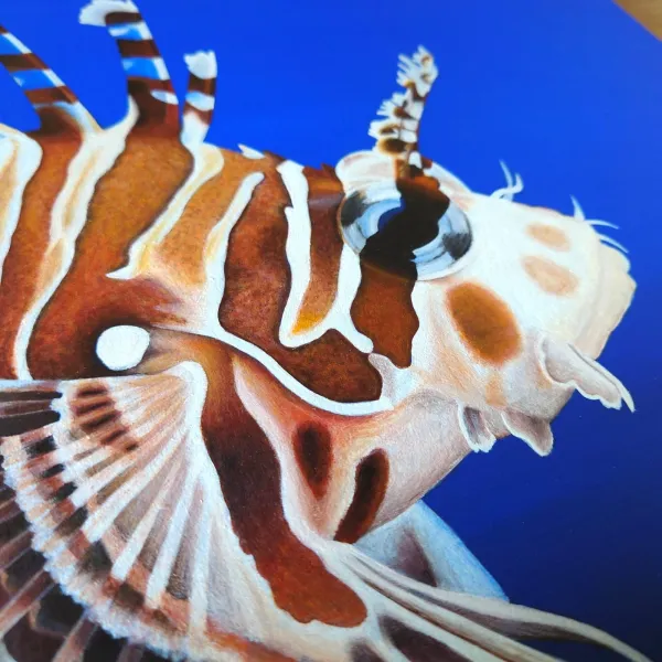 Tableau poisson exotique racasse volante – peinture récif corallien "Liberté" – vue 5
