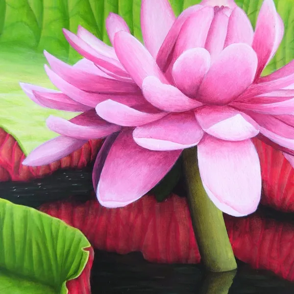 Tableau nénuphars tropicaux - peinture nature exotique "Victoria amazonica" – vue 5