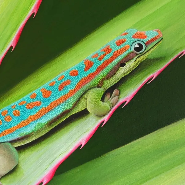 Tableau gecko de l’île Maurice - peinture animal tropical "Maurice" – vue 6